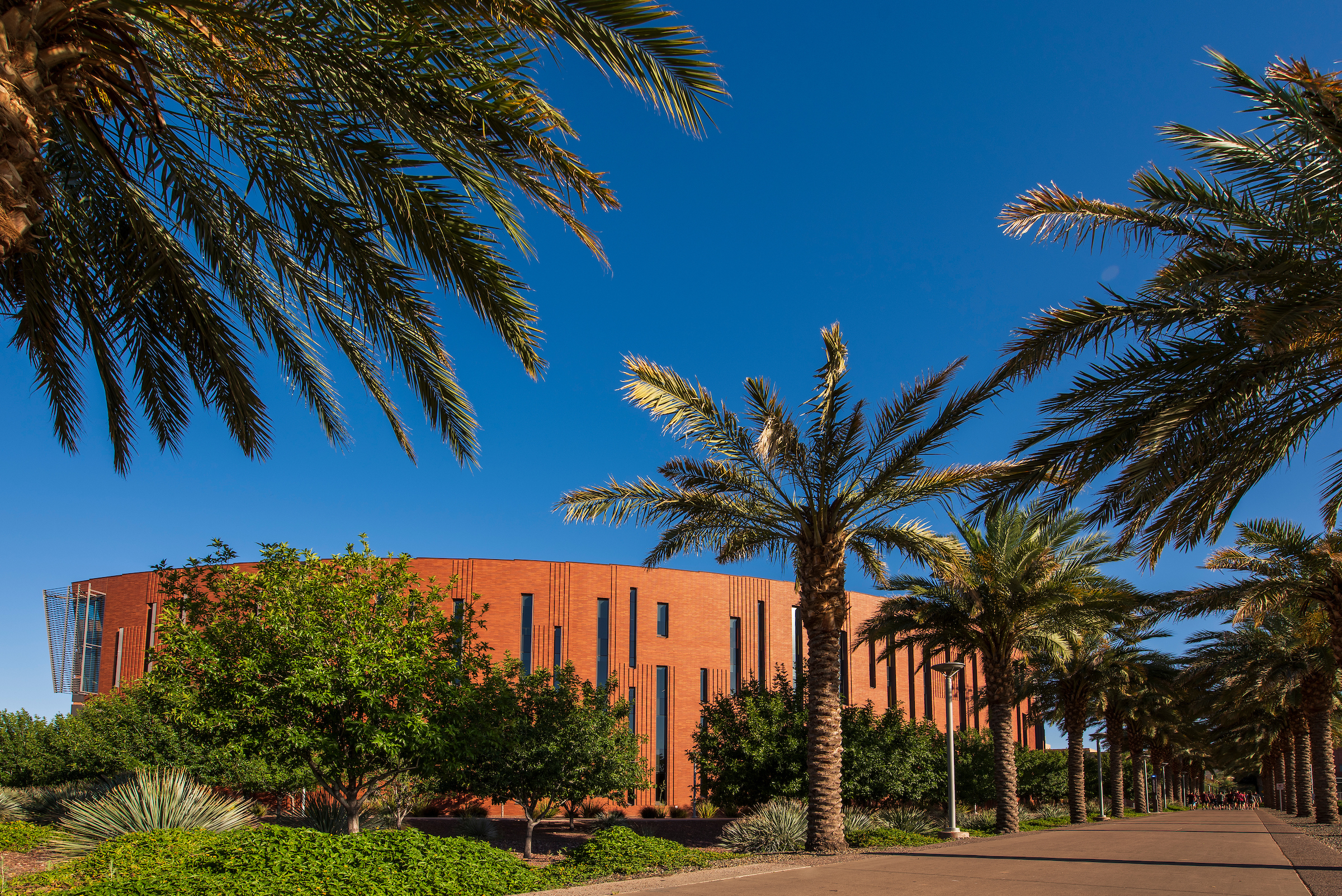 McCord Hall and Palm Walk.