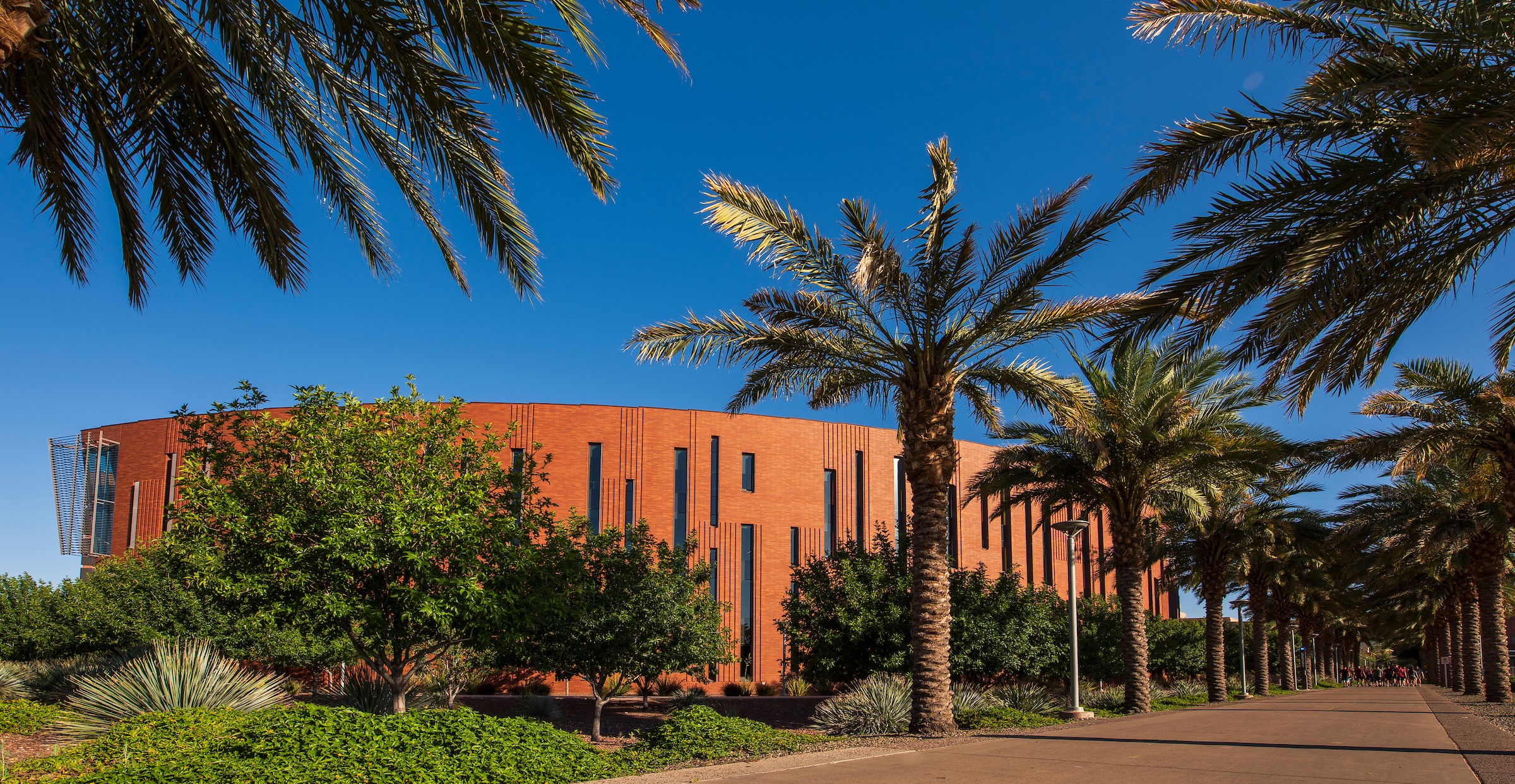 McCord Hall and Palm Walk.