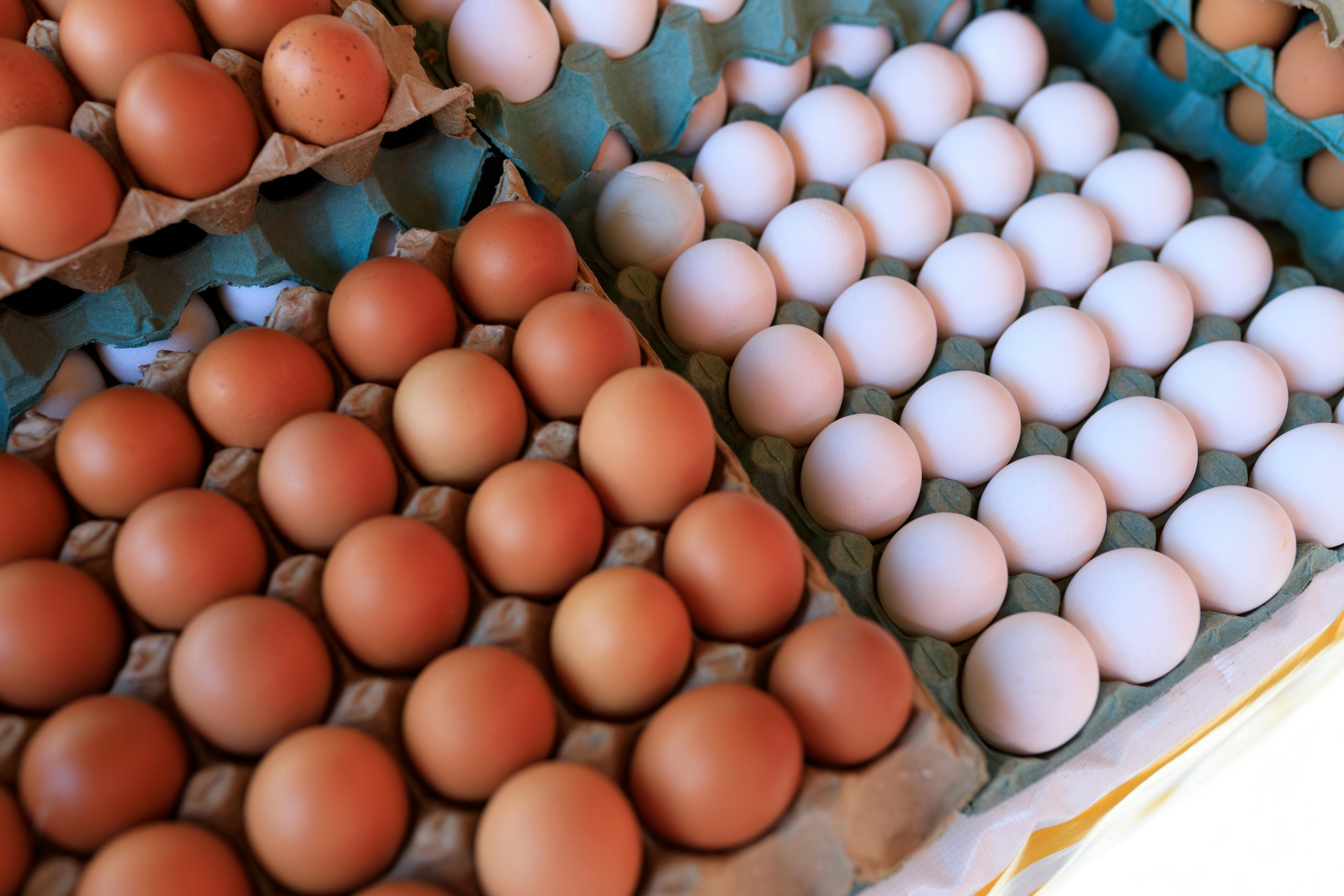 Cartons of eggs.