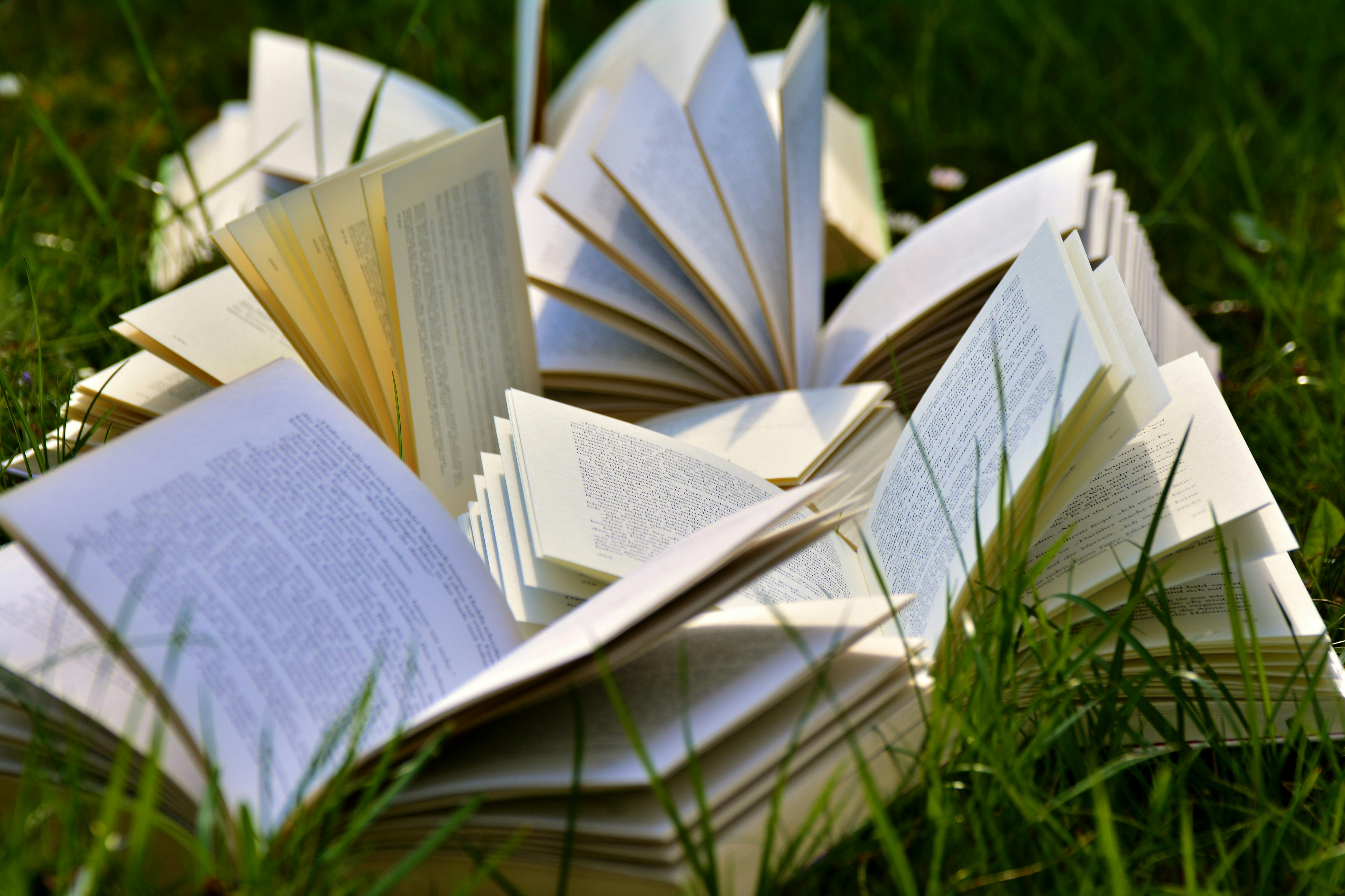 Books in grass