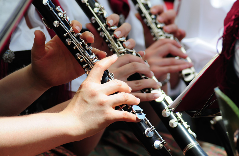 Clarinet-section-IDEAS.jpg Clarinet-section-IDEAS.jpg