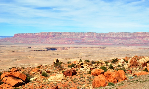 DSC_00861.jpg DSC_00861.jpg